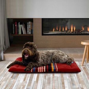 NEW✨Pendleton Red Mountain Reversible Dog Bed